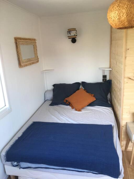 Appartement 300 M Plage Et Port 滨海巴纽尔斯 外观 照片